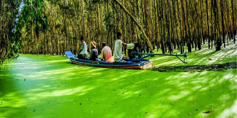 Eco-tourism tour with Mekong Delta Tours Eco-tourism tour with Mekong Delta Tours