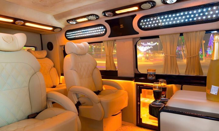 Cu Chi Tunnels & Mekong Delta VIP Tour by Limousine